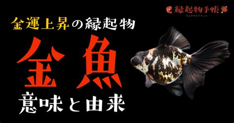 風水 金魚 色|金魚が縁起がいい3つの理由とは？起源と色による違。